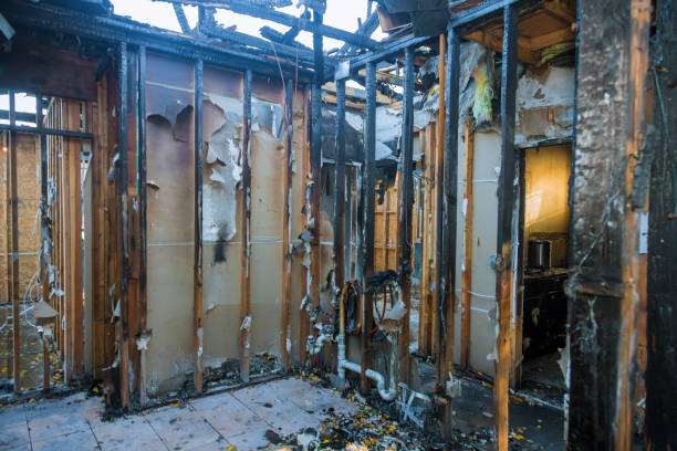 Professional Fire Damage Removal technician working in Villa Grove, IL
